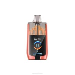 Vape おすすめ - イチゴスイカ T46B24 LAVIE CAMEO 30000パフ