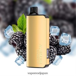 Vape Japan - Alibarbar Ingot 20000 使い捨て電子タバコ ブラックベリーアイス 22X0BB49