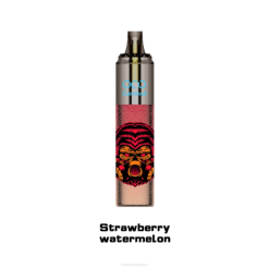 Vape Japan - イチゴスイカ T46B358 LAVIE OCO カーニバル10000パフ