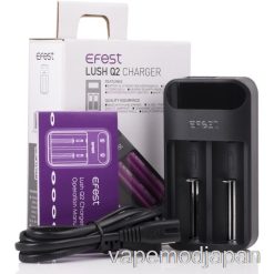 Vape Japan Efest Lush Q2 2ベイ インテリジェント LED バッテリー充電器
