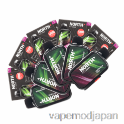 VAPE MOD [10本パック] ノース FT12000 使い捨て