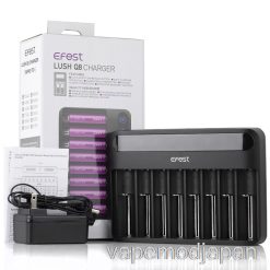 Vape Mod Efest Lush Q8 8 ベイ インテリジェント バッテリー充電器